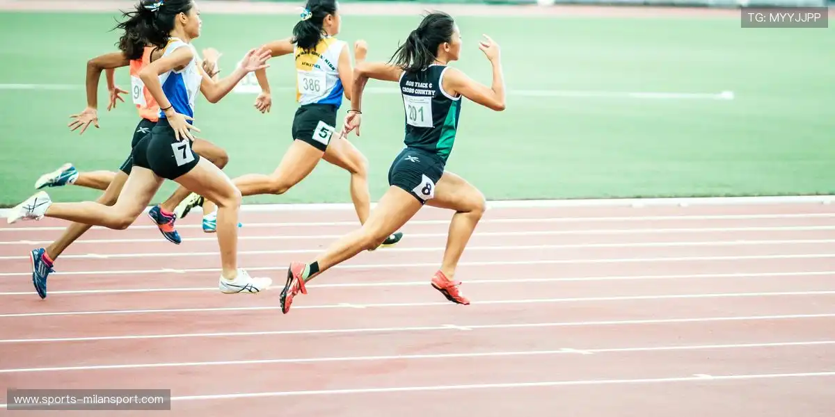 💼 长期发展计划，稳步走向巅峰！